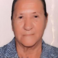 Foto Marina Alves de Assis